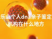 乐山个人dna亲子鉴定机构在什么地方