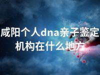 咸阳个人dna亲子鉴定机构在什么地方