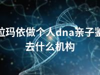 克拉玛依做个人dna亲子鉴定去什么机构