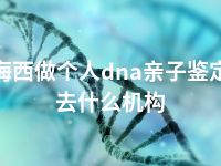 海西做个人dna亲子鉴定去什么机构