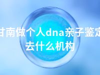 甘南做个人dna亲子鉴定去什么机构