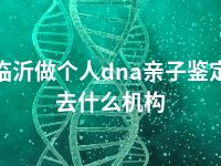 临沂做个人dna亲子鉴定去什么机构