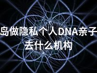 葫芦岛做隐私个人DNA亲子鉴定去什么机构