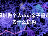 深圳做个人dna亲子鉴定去什么机构