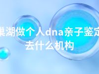 巢湖做个人dna亲子鉴定去什么机构