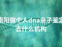 南阳做个人dna亲子鉴定去什么机构