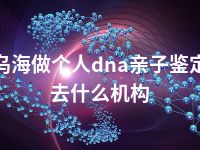 乌海做个人dna亲子鉴定去什么机构