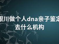 银川做个人dna亲子鉴定去什么机构