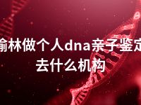 榆林做个人dna亲子鉴定去什么机构