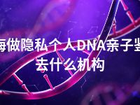 上海做隐私个人DNA亲子鉴定去什么机构