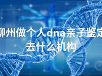 柳州做个人dna亲子鉴定去什么机构