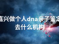 嘉兴做个人dna亲子鉴定去什么机构