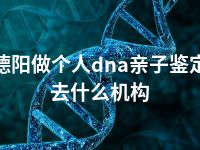 德阳做个人dna亲子鉴定去什么机构