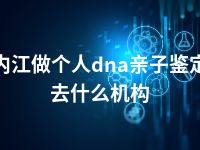 内江做个人dna亲子鉴定去什么机构