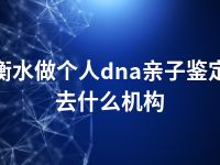 衡水做个人dna亲子鉴定去什么机构