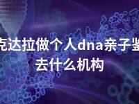 可克达拉做个人dna亲子鉴定去什么机构