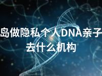 秦皇岛做隐私个人DNA亲子鉴定去什么机构