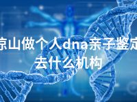 凉山做个人dna亲子鉴定去什么机构