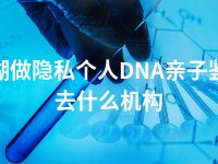 巢湖做隐私个人DNA亲子鉴定去什么机构