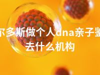 鄂尔多斯做个人dna亲子鉴定去什么机构