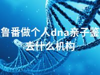 吐鲁番做个人dna亲子鉴定去什么机构