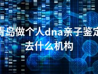 青岛做个人dna亲子鉴定去什么机构