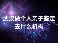 武汉做个人亲子鉴定去什么机构