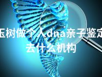 玉树做个人dna亲子鉴定去什么机构