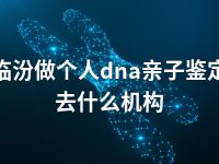 临汾做个人dna亲子鉴定去什么机构