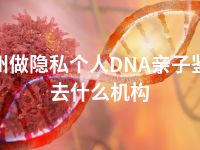 永州做隐私个人DNA亲子鉴定去什么机构