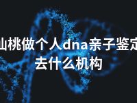 仙桃做个人dna亲子鉴定去什么机构