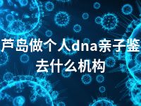 葫芦岛做个人dna亲子鉴定去什么机构