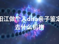 阳江做个人dna亲子鉴定去什么机构