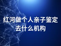 红河做个人亲子鉴定去什么机构