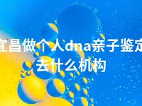 宜昌做个人dna亲子鉴定去什么机构