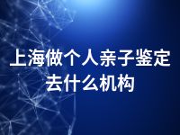 上海做个人亲子鉴定去什么机构