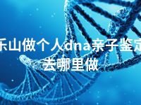 乐山做个人dna亲子鉴定去哪里做