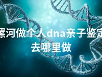 漯河做个人dna亲子鉴定去哪里做