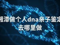 湘潭做个人dna亲子鉴定去哪里做