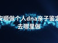 安顺做个人dna亲子鉴定去哪里做