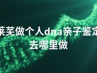 莱芜做个人dna亲子鉴定去哪里做