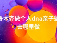 乌鲁木齐做个人dna亲子鉴定去哪里做