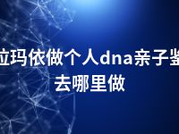 克拉玛依做个人dna亲子鉴定去哪里做