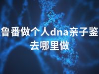 吐鲁番做个人dna亲子鉴定去哪里做