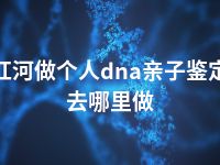 红河做个人dna亲子鉴定去哪里做