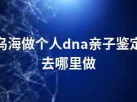 乌海做个人dna亲子鉴定去哪里做