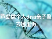 葫芦岛做个人dna亲子鉴定去哪里做