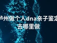 泸州做个人dna亲子鉴定去哪里做