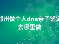 郑州做个人dna亲子鉴定去哪里做