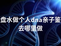 六盘水做个人dna亲子鉴定去哪里做